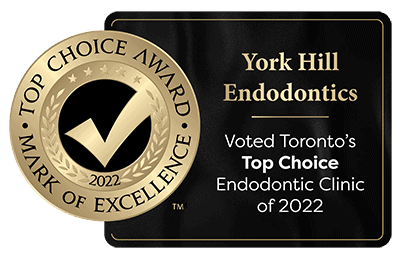 York Hill Endodontics Top Choice Badge